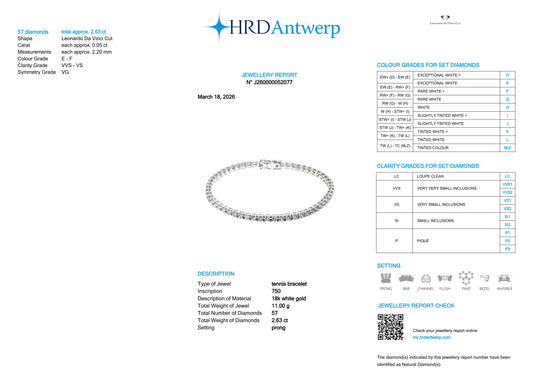 Tennis Piramidale LDV HRD ANTWERP