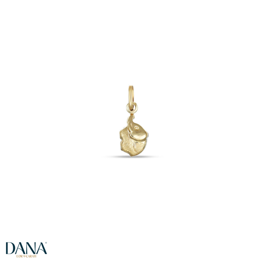 Pendente da Uomo e da Donna - Sole - DANA L'OR 9 CARATI